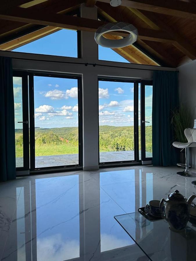 Casa Moderna In Sinteu - Intersectia Intre Modern Si Linistea Naturii Huta Voivozi 외부 사진