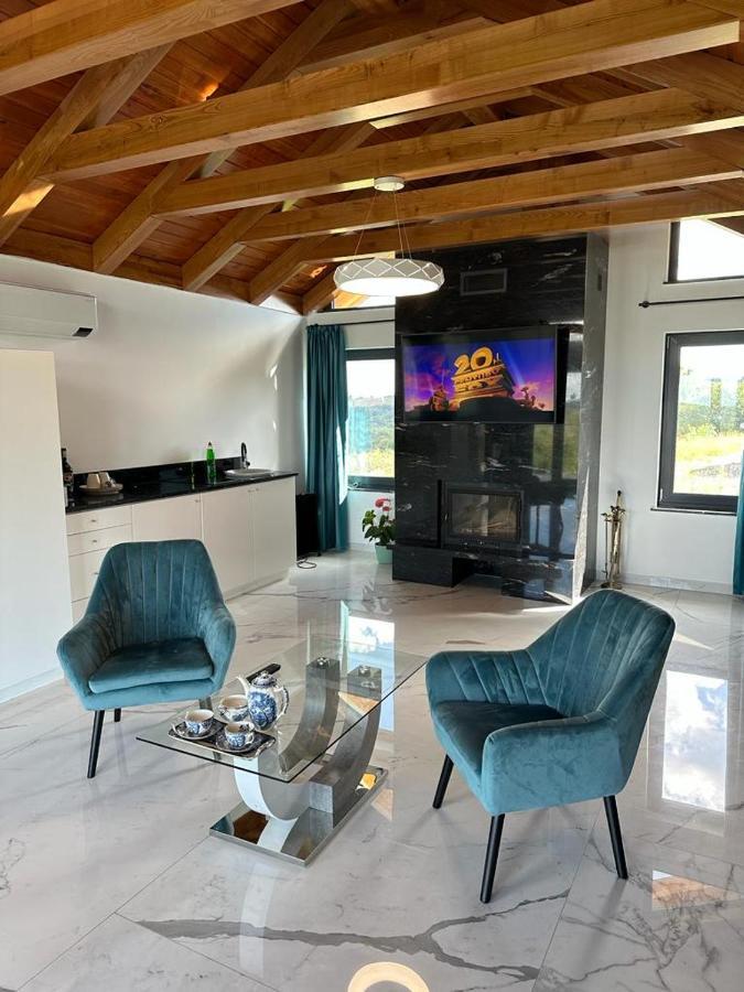 Casa Moderna In Sinteu - Intersectia Intre Modern Si Linistea Naturii Huta Voivozi 외부 사진