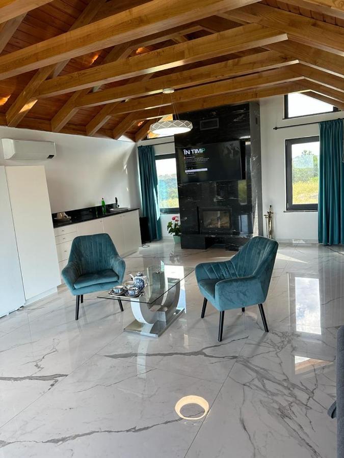 Casa Moderna In Sinteu - Intersectia Intre Modern Si Linistea Naturii Huta Voivozi 외부 사진